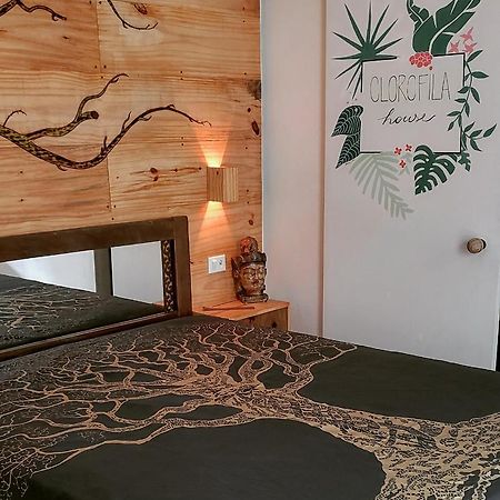 Suite Clorofila House Glamping Ubatuba Exterior foto