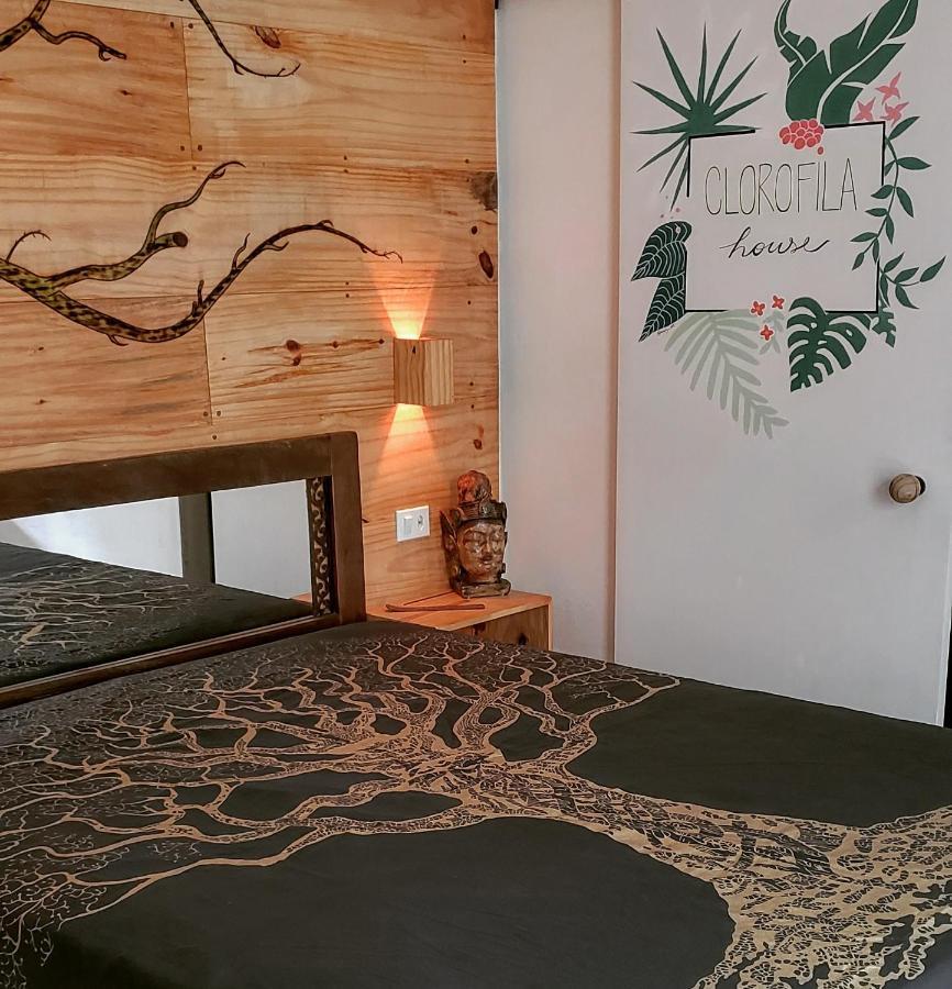 Suite Clorofila House Glamping Ubatuba Exterior foto