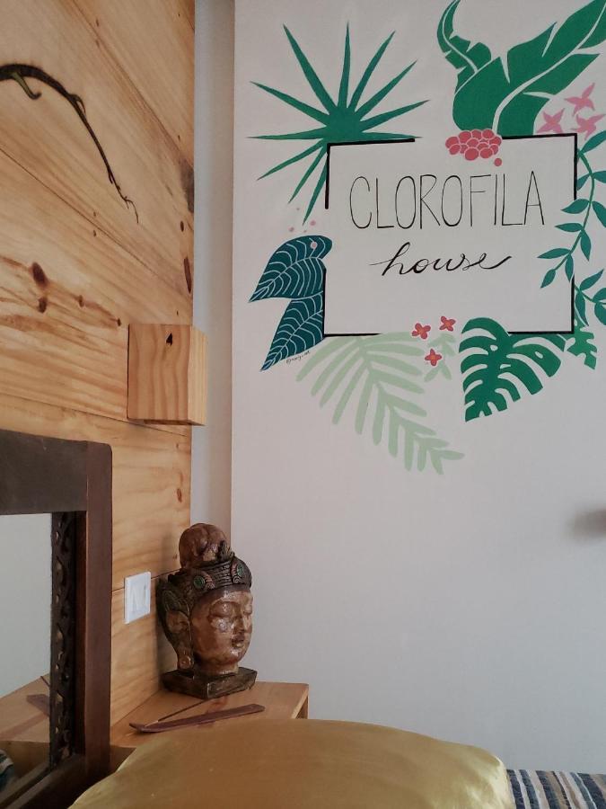Suite Clorofila House Glamping Ubatuba Exterior foto
