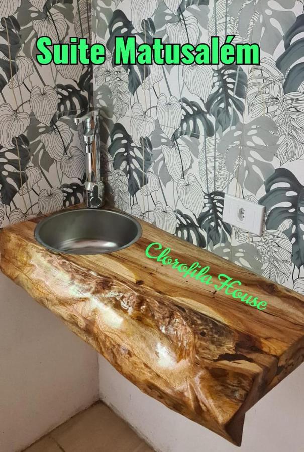 Suite Clorofila House Glamping Ubatuba Exterior foto