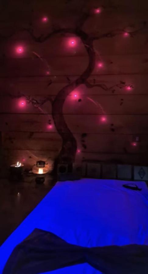 Suite Clorofila House Glamping Ubatuba Exterior foto